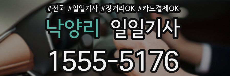 낙양리 일일기사