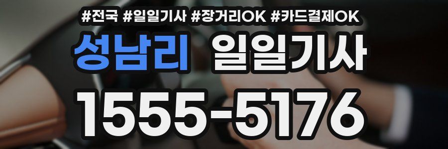 성남리 일일기사