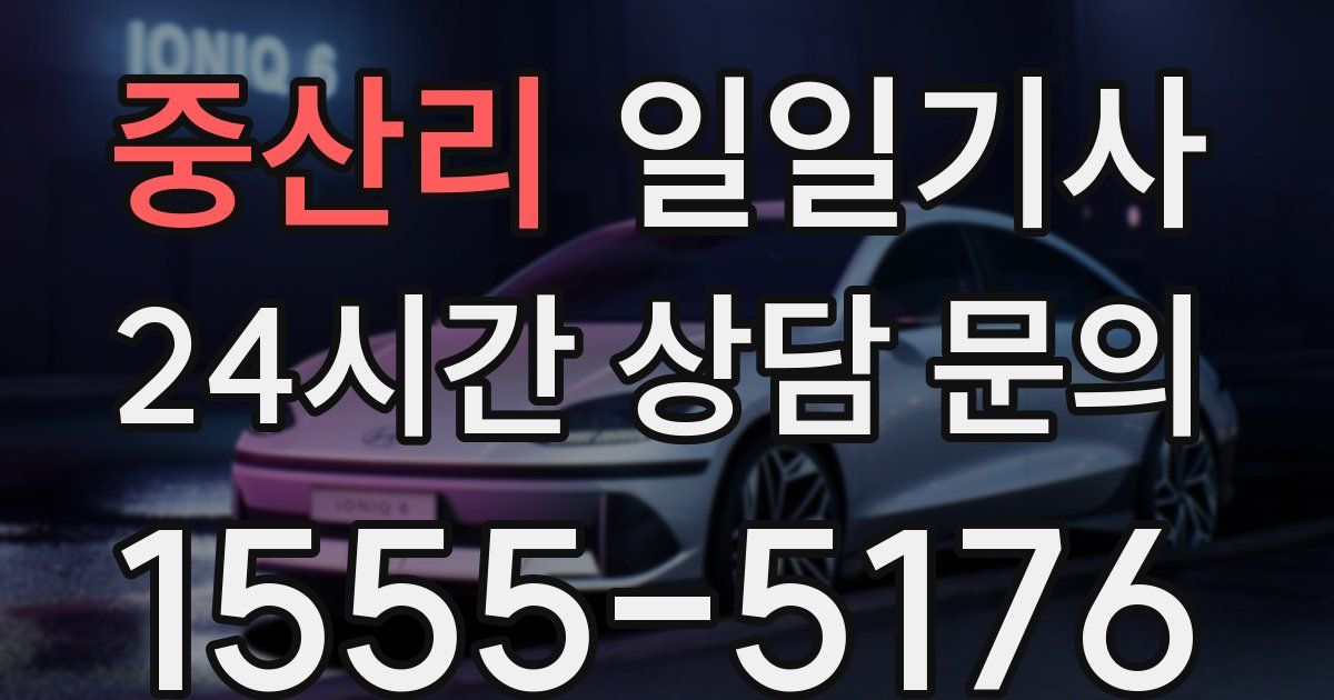 일일대리기사