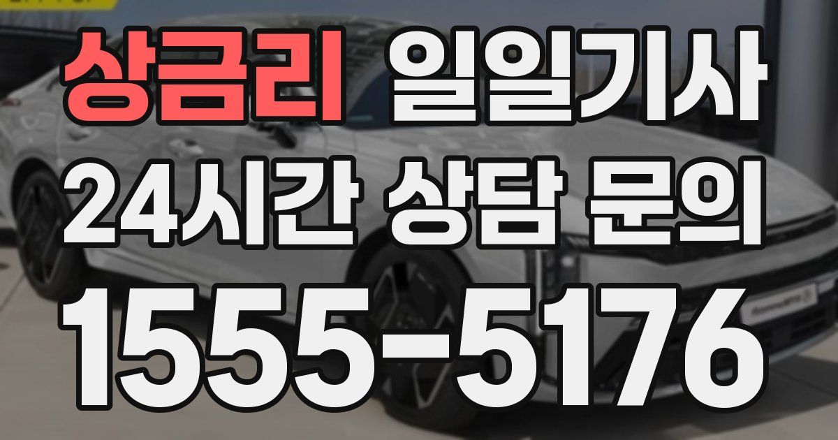 일일대리기사
