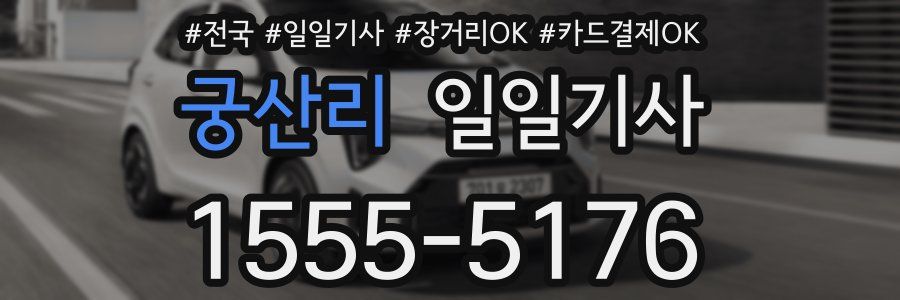 궁산리 일일기사