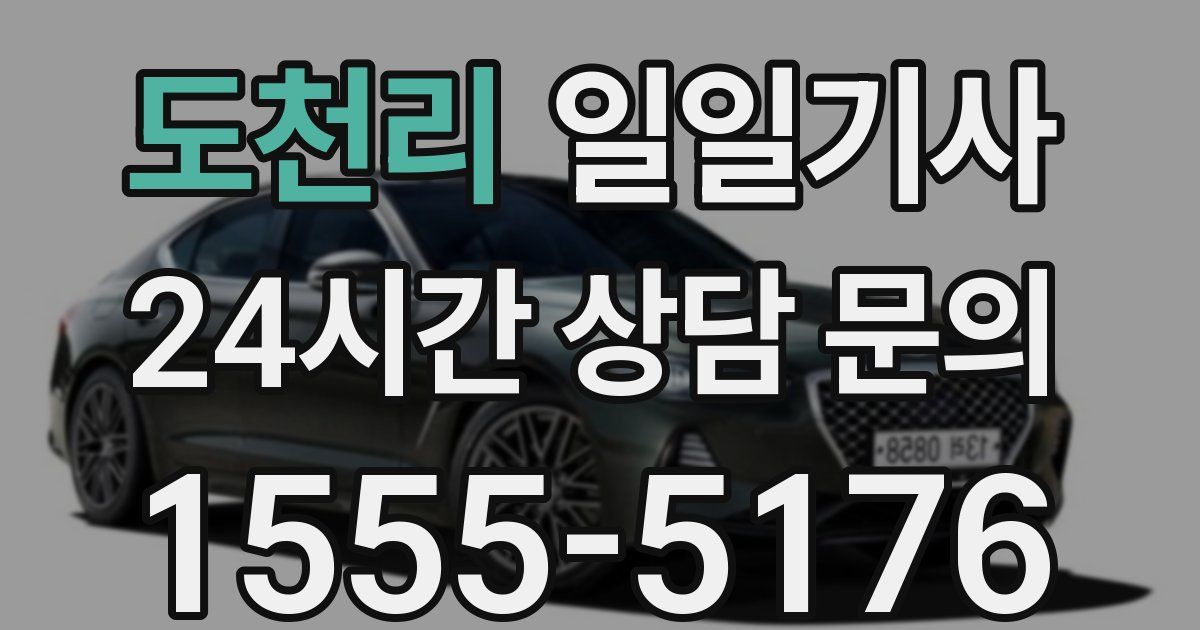 일일대리기사