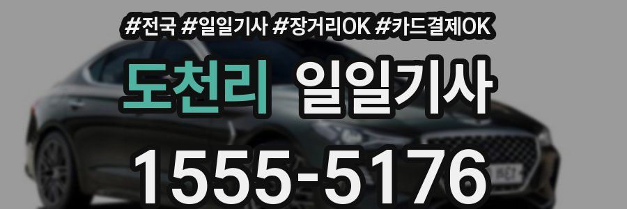 도천리 일일기사