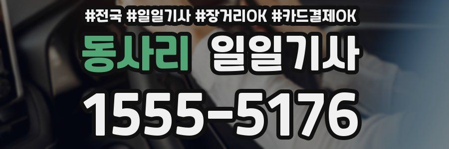 동사리 일일기사
