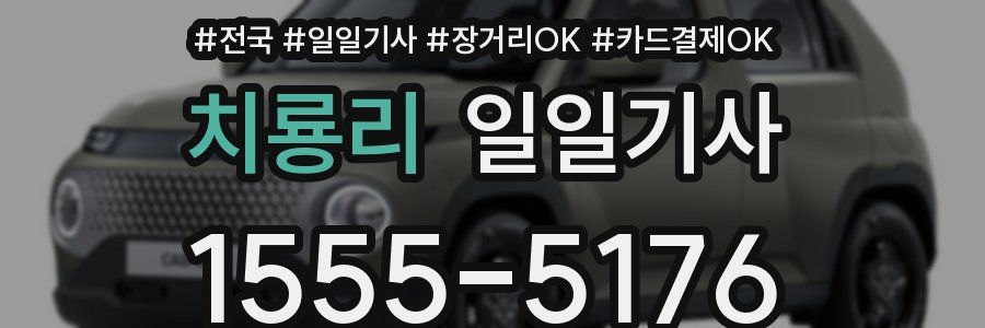 치룡리 일일기사