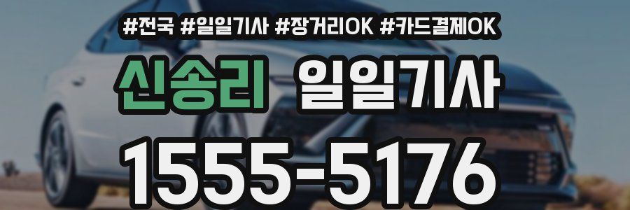 신송리 일일기사