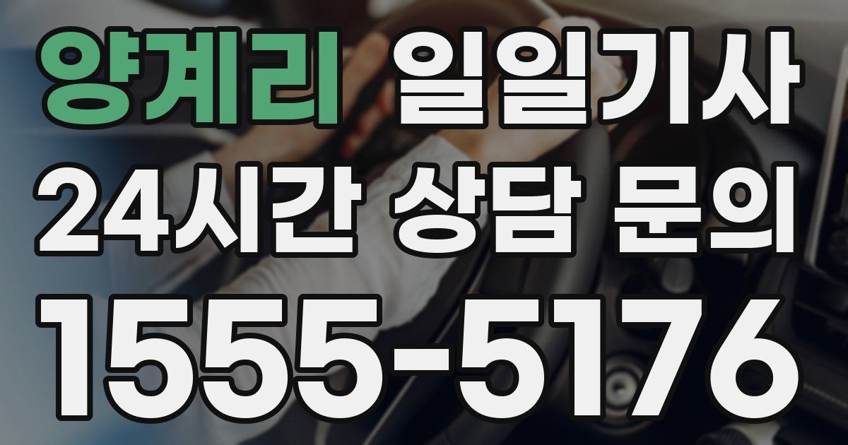 일일대리기사
