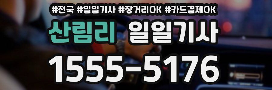 산림리 일일기사