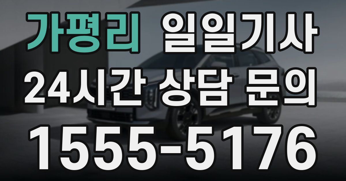 일일대리기사
