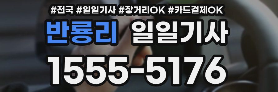 반룡리 일일기사