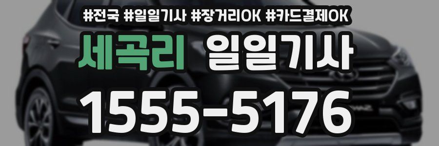 세곡리 일일기사