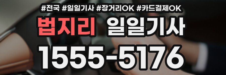 법지리 일일기사