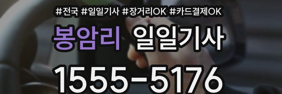 봉암리 일일기사