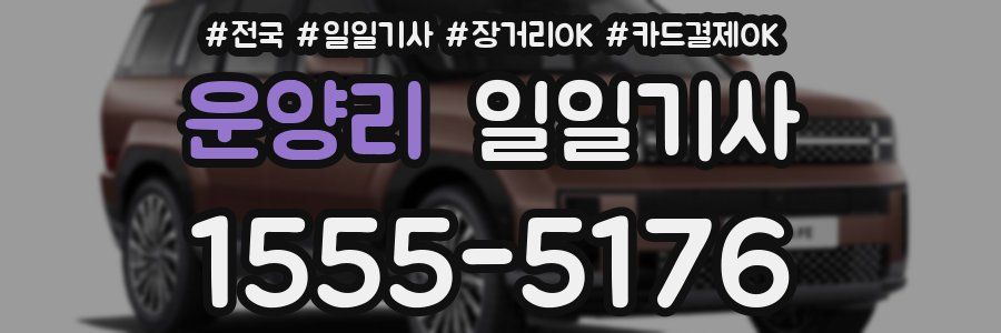 운양리 일일기사