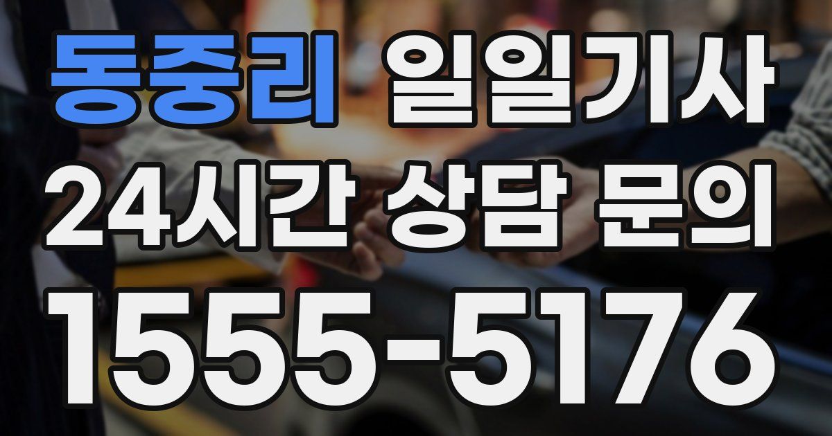 일일대리기사