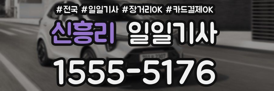 신흥리 일일기사