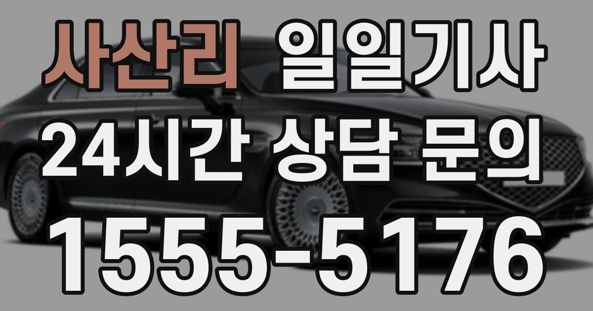 일일대리기사