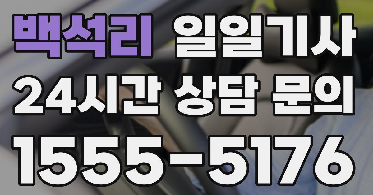 일일대리기사