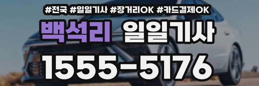 백석리 일일기사