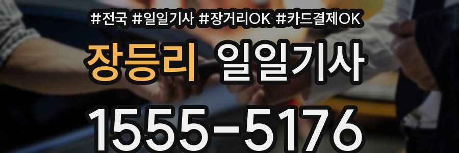 장등리 일일기사