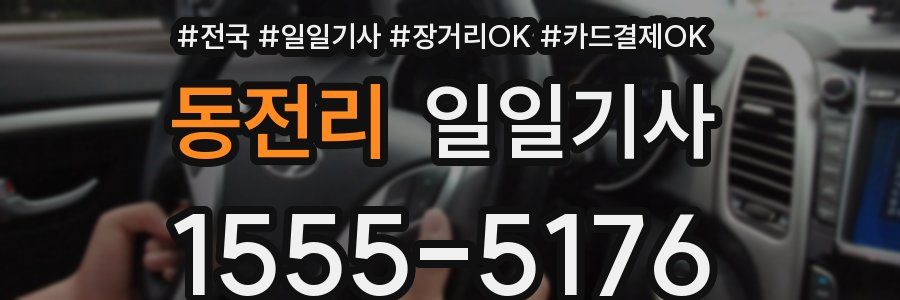 동전리 일일기사