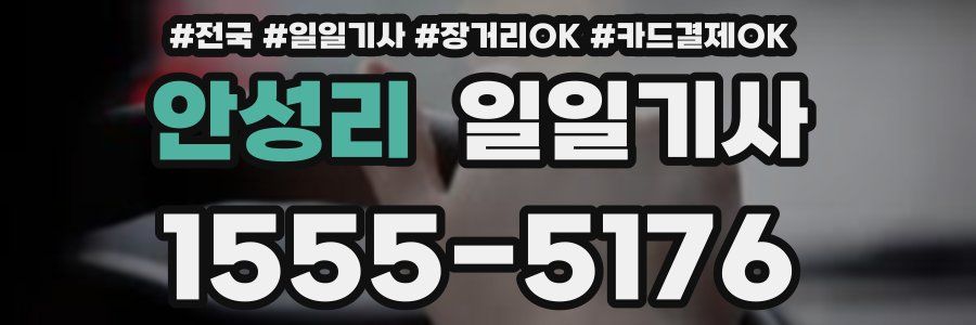 안성리 일일기사