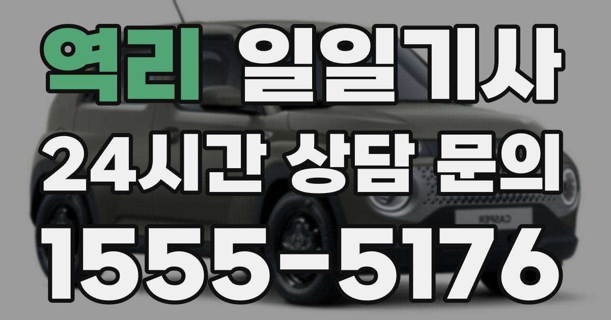 일일대리기사
