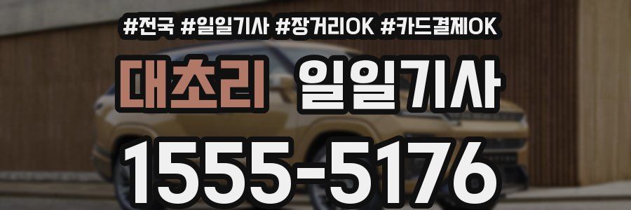 대초리 일일기사