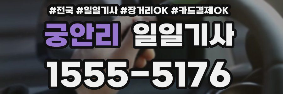 궁안리 일일기사