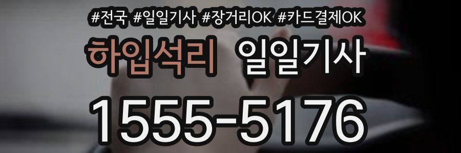 하입석리 일일기사