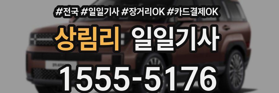 상림리 일일기사