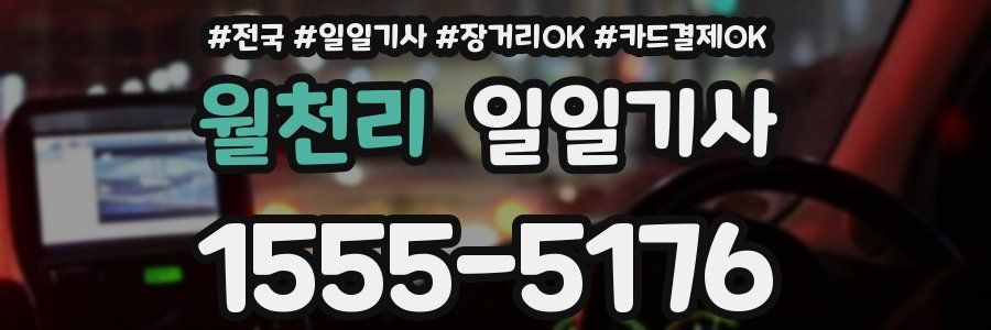 월천리 일일기사