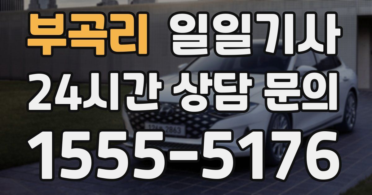 일일대리기사