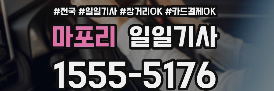 마포리 일일기사