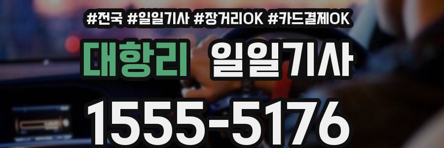 대항리 일일기사