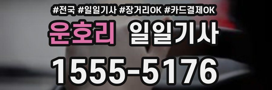운호리 일일기사