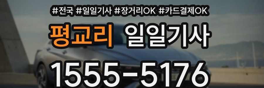 평교리 일일기사