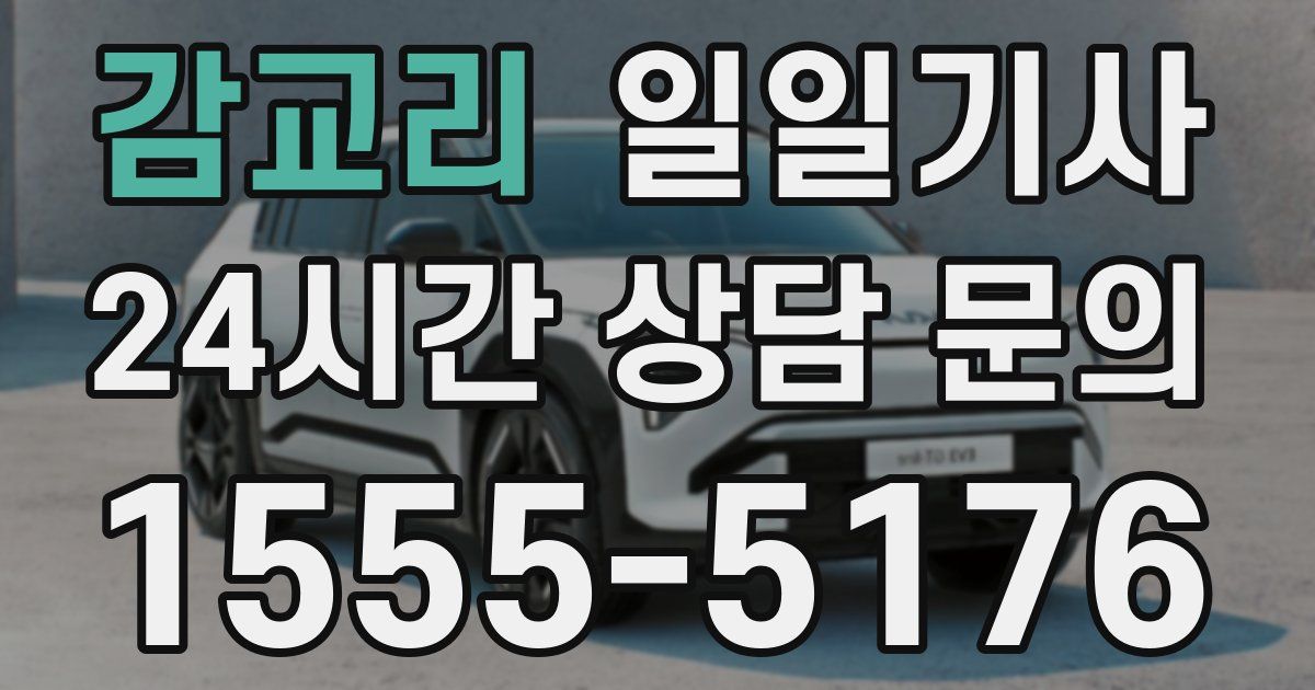 일일대리기사