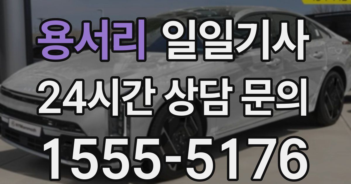 일일대리기사