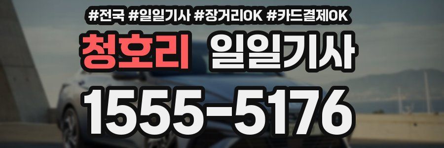 청호리 일일기사