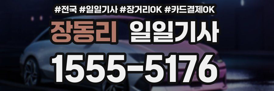 장동리 일일기사