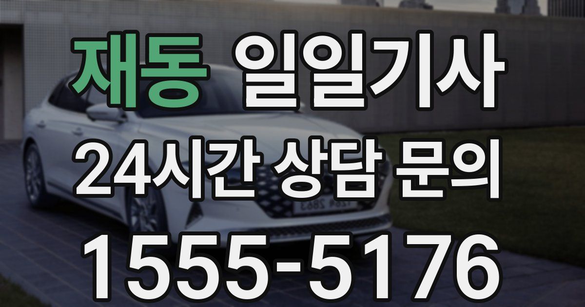 일일대리기사