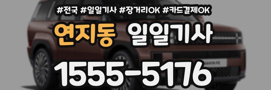 연지동 일일기사