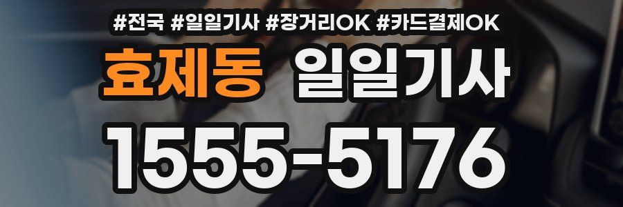 효제동 일일기사