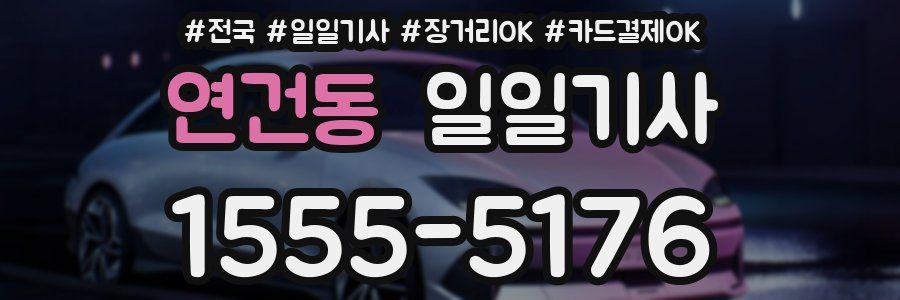 연건동 일일기사