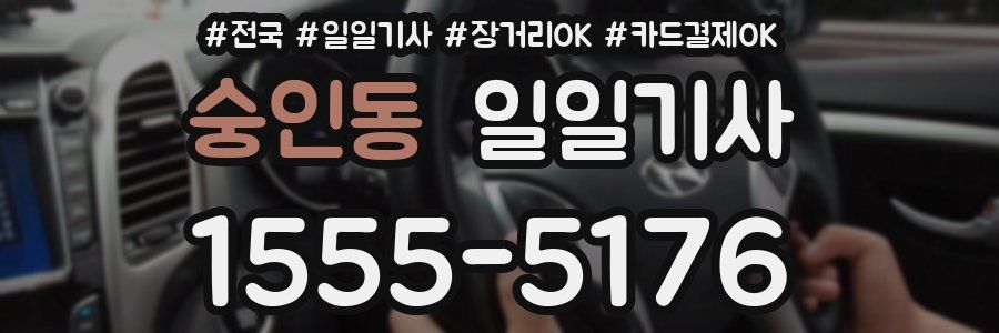 숭인동 일일기사