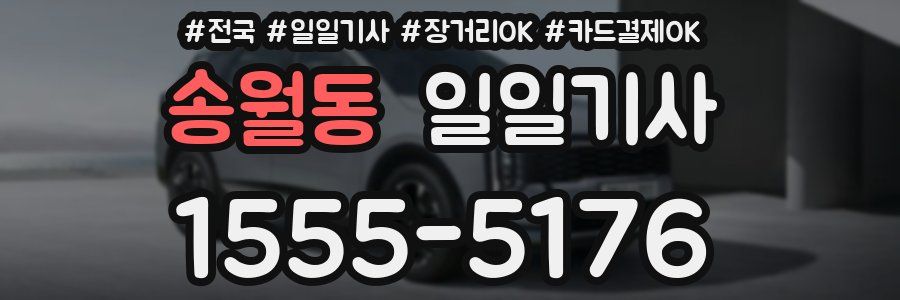 송월동 일일기사