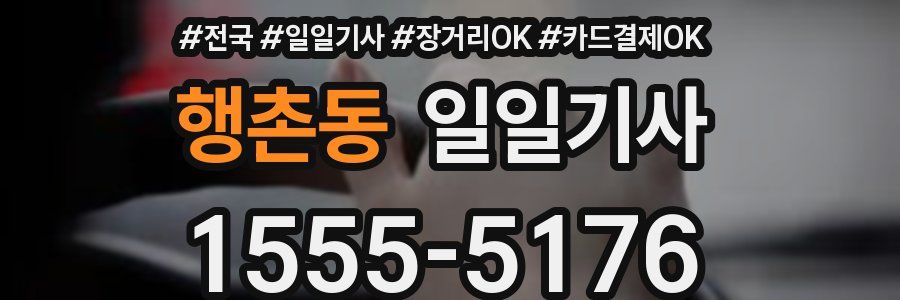 행촌동 일일기사