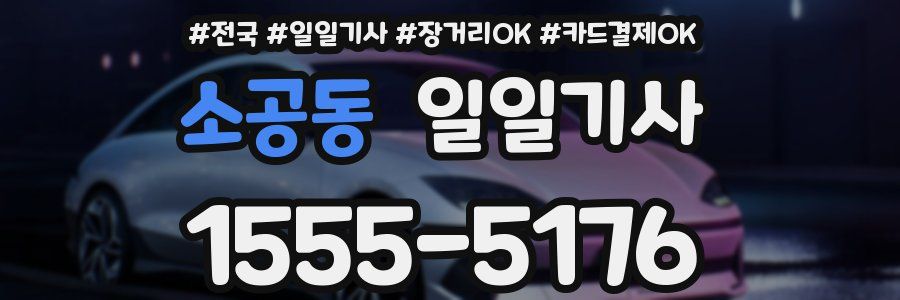 소공동 일일기사