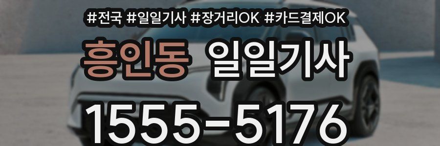 흥인동 일일기사